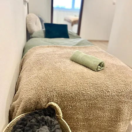 公寓 The Elite Ii Downtown Ac & Garage Parking 布拉迪斯拉发