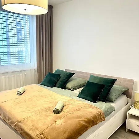 公寓 The Elite Ii Downtown Ac & Garage Parking 布拉迪斯拉发